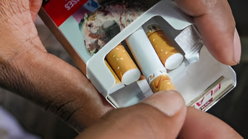 Tobacco and pan masala products face higher taxes as the Centre rolls out a new GST and cess regime from February 1.