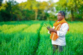 Government schemes 2025 supporting farmers, startups, health, housing, and green initiatives across India.