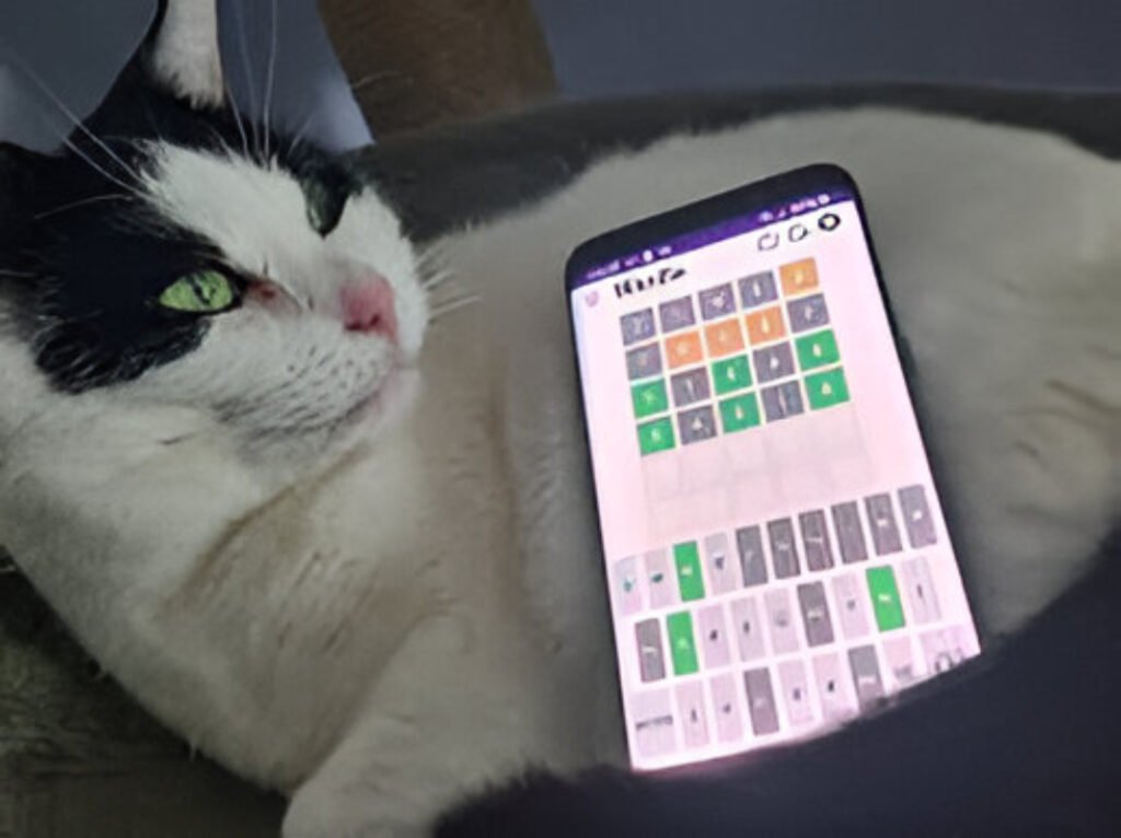 Wordle puzzle on a smartphone screen showing the answer “OOMPH” for January 6, 2026, highlighting repeated letters and energy-themed clues.