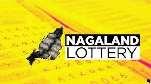 Nagaland State Lottery Sambad draws for Dear Godavari, Dear Comet, and Dear Goose held today; results announced at 1 PM, 6 PM, and 8 PM.