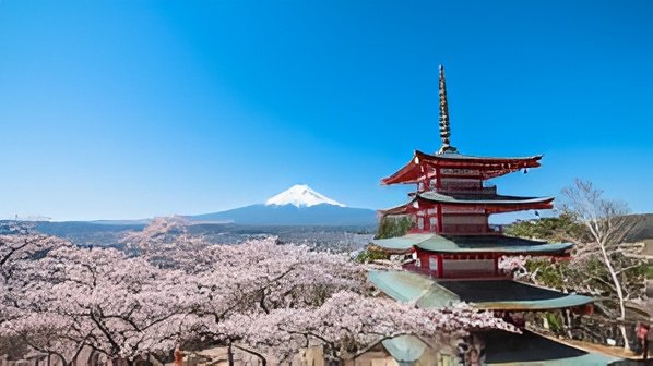 Japan Cancels Mount Fuji Cherry Blossom Festival Over Unruly Tourist Behaviour